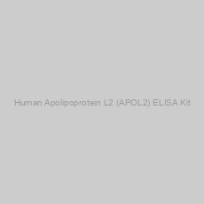 Image of Human Apolipoprotein L2 (APOL2) ELISA Kit